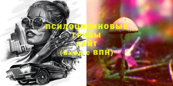 ПСИЛОЦИБИНОВЫЕ ГРИБЫ Армянск
