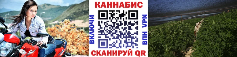Канабис сатива Ульяновск